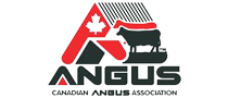 Canadian Angus Association 